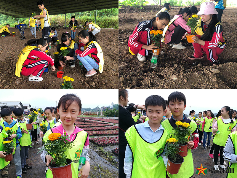 徐悲鸿小学和滨江小学铜梁基地研学